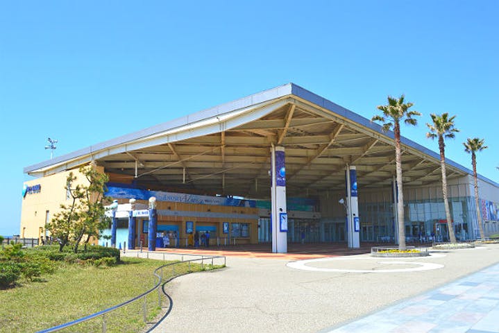 新江の島水族館